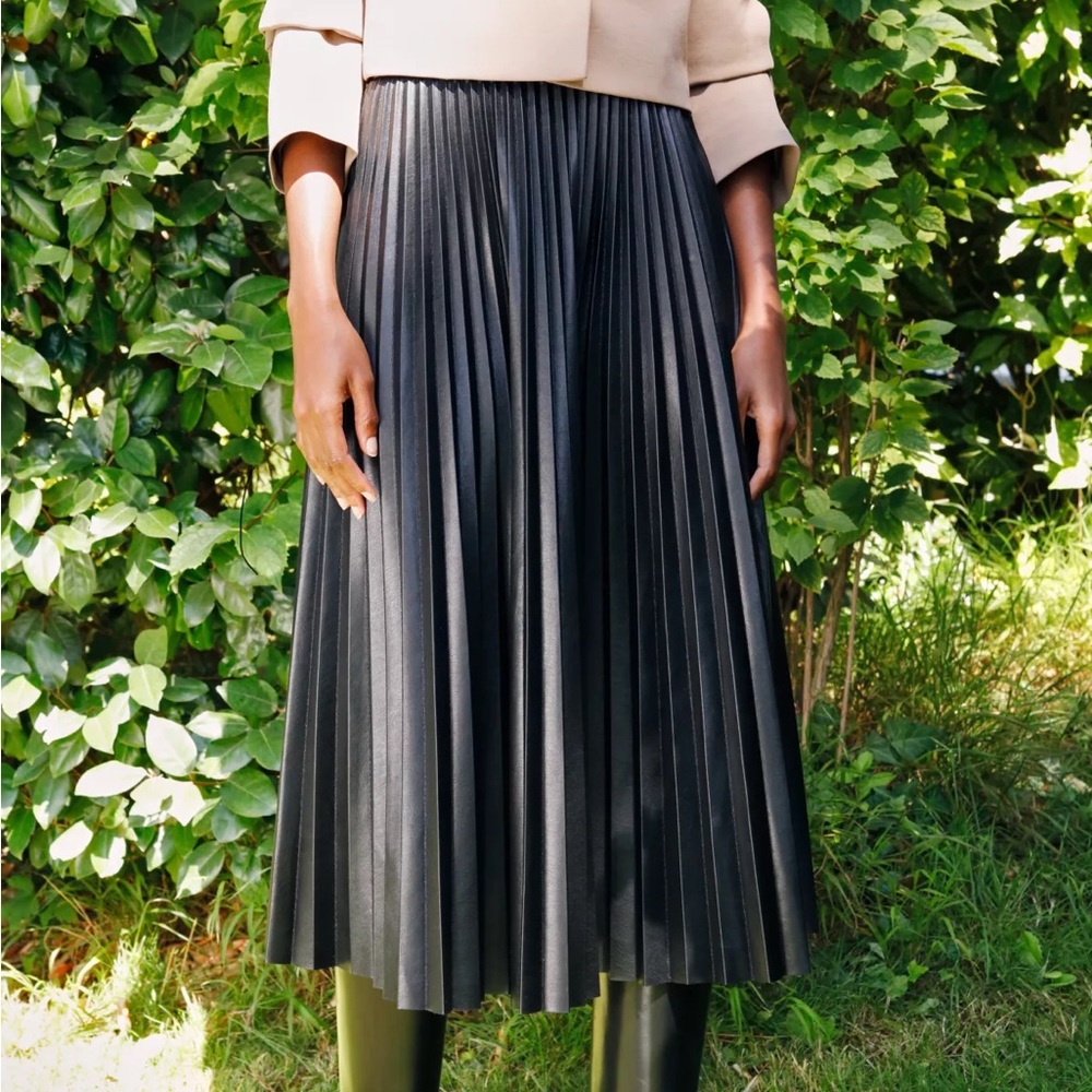 Aritzia Wilfred Ortega Skirt